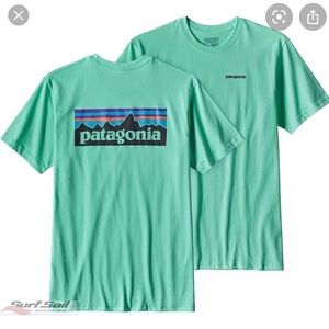 Mint Patagonia tshirt